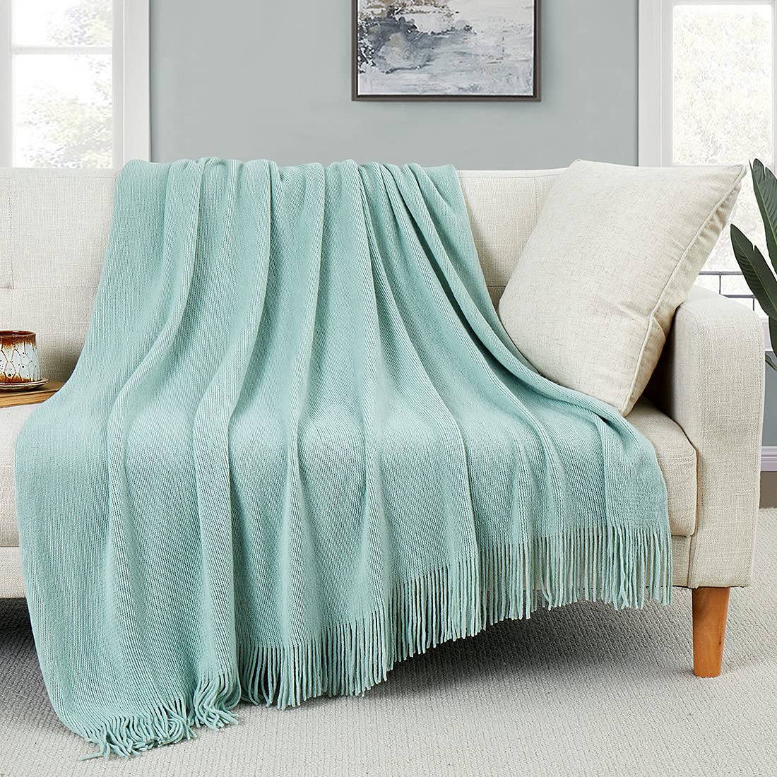 Homiest Decorative Knitted Throw Blanket with Fringe Soft & Cozy Tassel Blanket for Couch Sofa Bed (Light Green, 50x60)