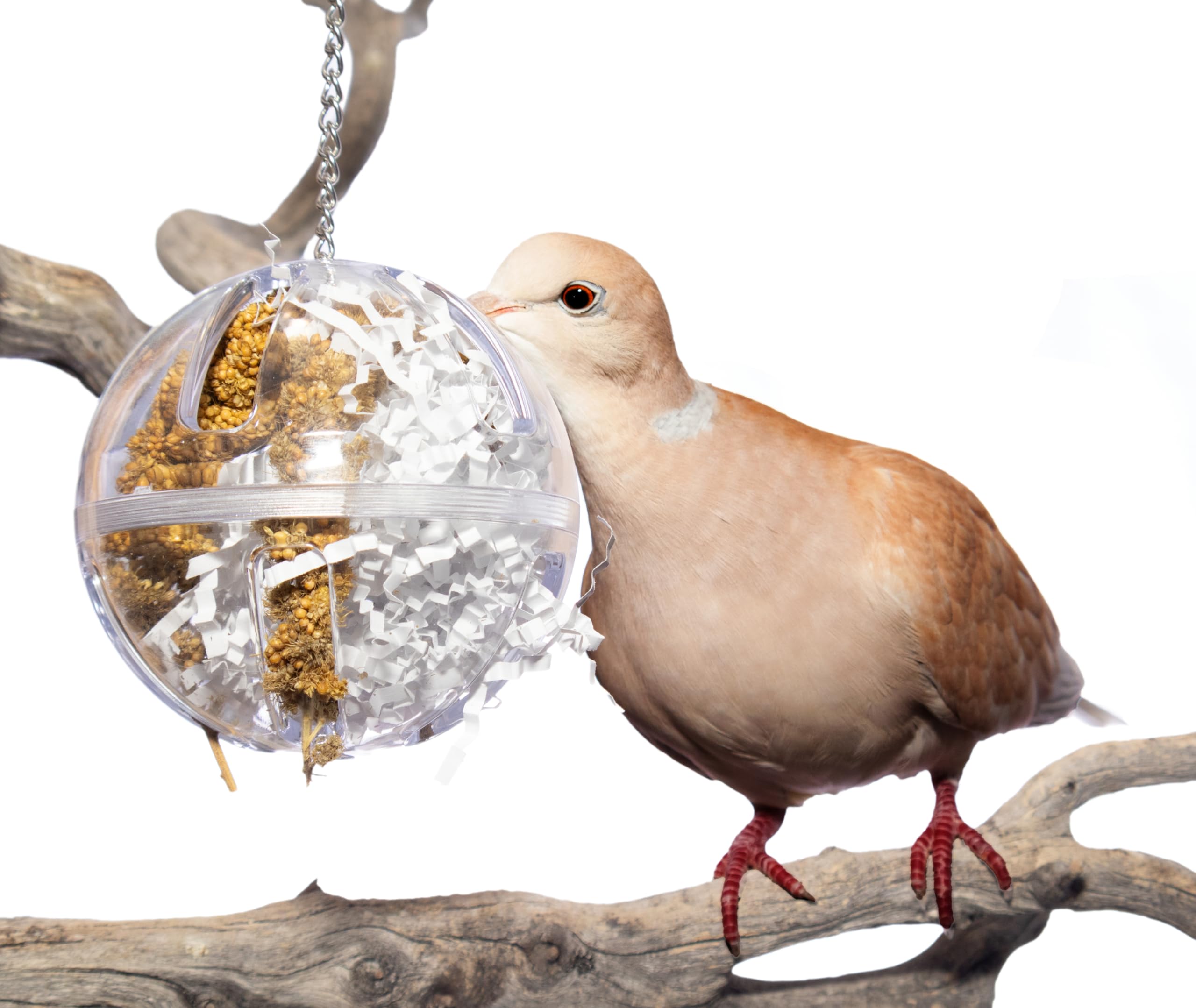 Lovely Little Flyers Bird Foraging Ball Toy, 3.5 Inch, Interactive Hanging Treat Dispenser & Enrichment Toy for Cockatiels, Parrotlets, Parakeets, Small Parrots, and Doves, Forage Toy for Parrots - image 6