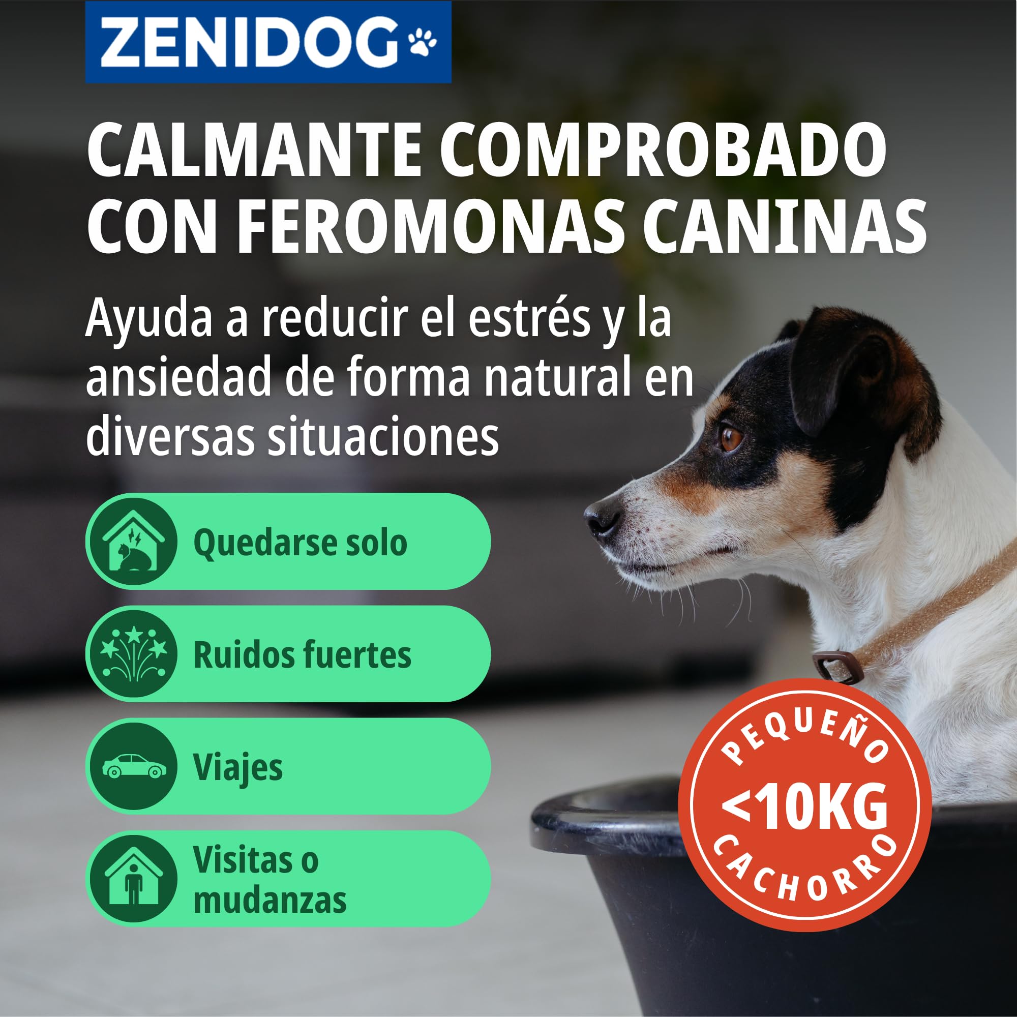 Virbac Zenidog Collar Calmante Perros Pequeños y Cachorros - Antiestrés con Feromonas - Dura 3 Meses - Talla S - 39cm