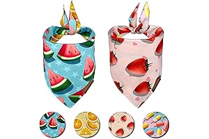 Cozy Pet Bandanas: A Fruity Fiesta for Your Furry Friend