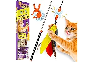 Snatch: The Ultimate Cat Fishing Adventure for Your Feline Friend