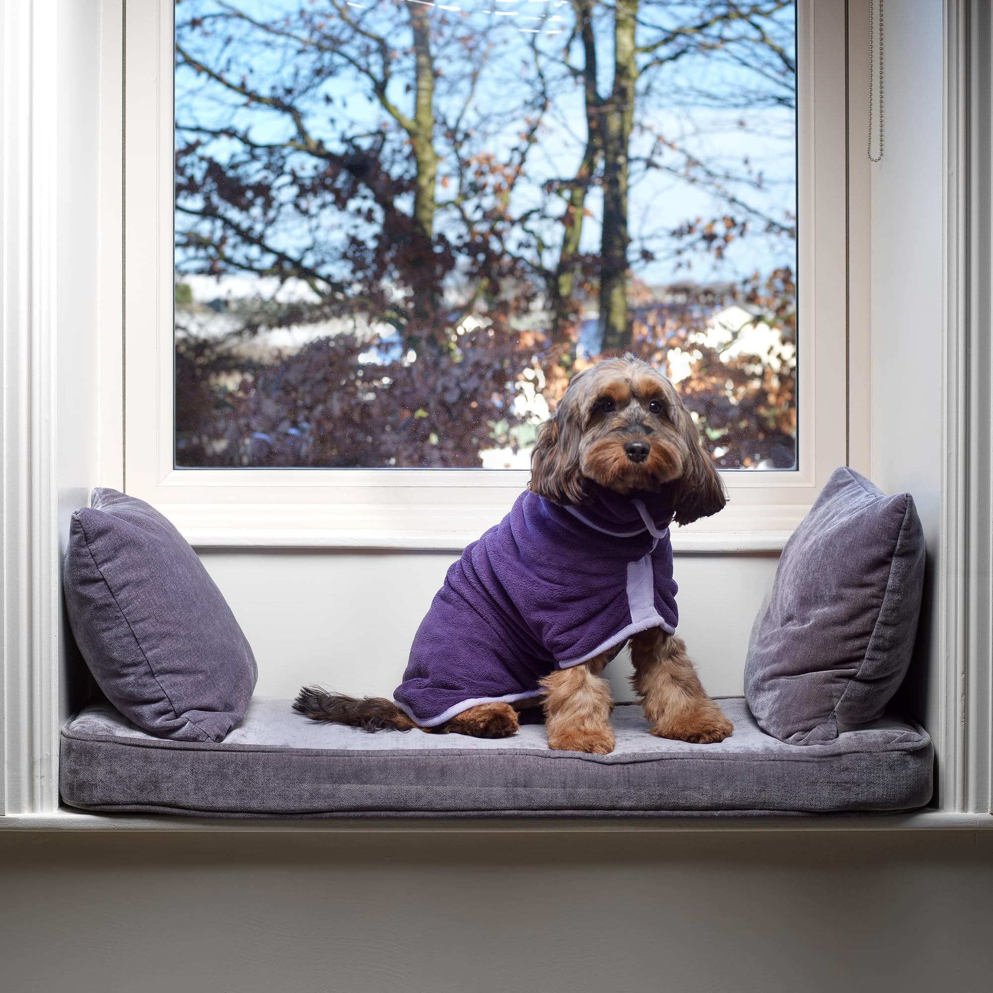 Lucky Paws® Płaszcz do suszenia psa w Wielkiej Brytanii, luksusowy dwuwarstwowy ręcznik dla psa, susz swoje psy w kilka minut, bardzo chłonny szlafrok suszący i super miękki szlafrok (XXL, bakłażanowy