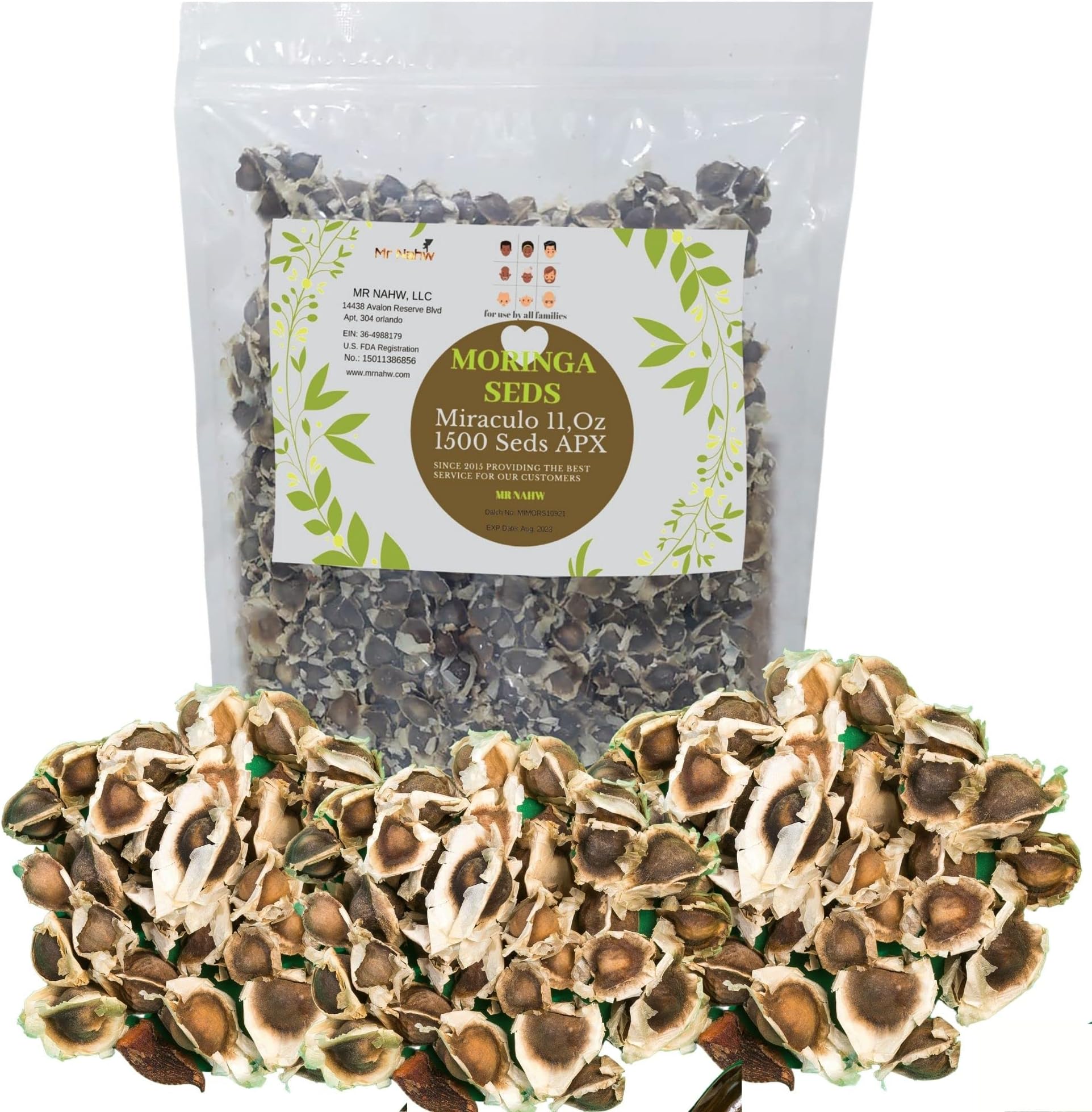 Moringa seeds 1500 Apx Moringa Oleifera Dried Seeds Pack | Nutrition Antioxidant and Anti Inflammatory Drumstick Tree Comible Seeds | Rich in Vitamins, Minerals, Proteins, Potassium. (1500 Moringa S.)