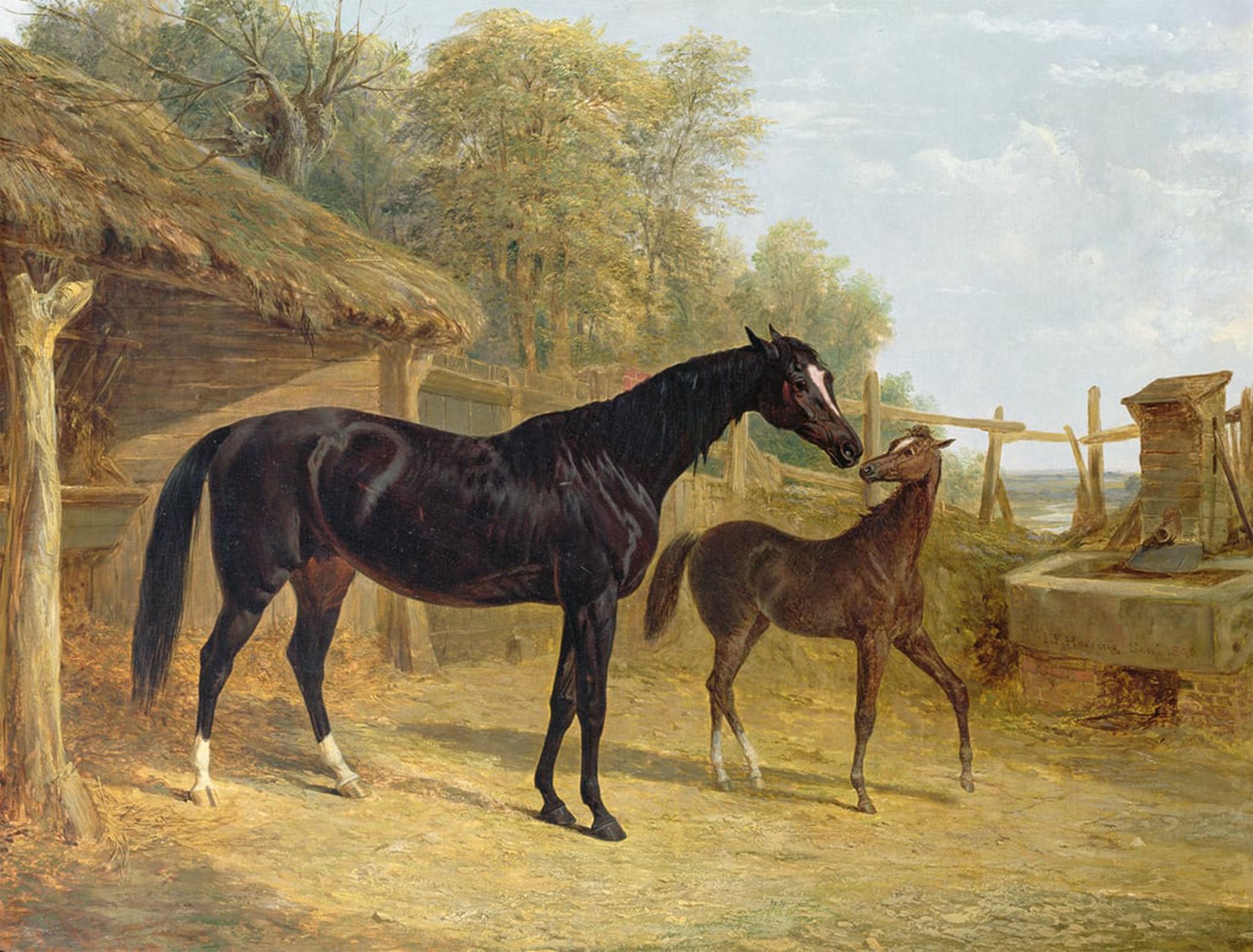 Tableau Levity Frederick Herring impression sur toile grand format 60x90cm