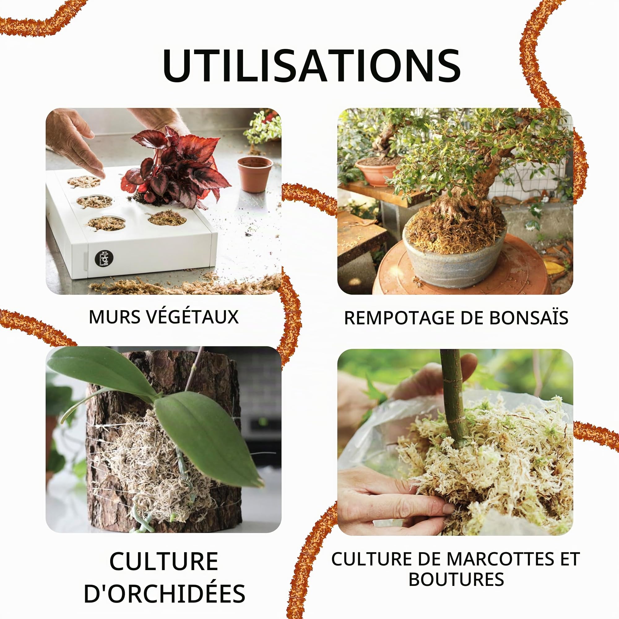 Sphaigne chilienne de première qualité 1kg, entièrement Naturelle et biodégradable. Substrat idéal pour Les orchidées, Les bonsaïs et Les Jardins verticaux.