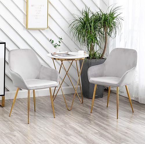 BTEXPERT Moderno sillón de terciopelo gris con patas doradas y respaldo medio para sala de estar, juego de dos, sillón de ocio de terciopelo gris