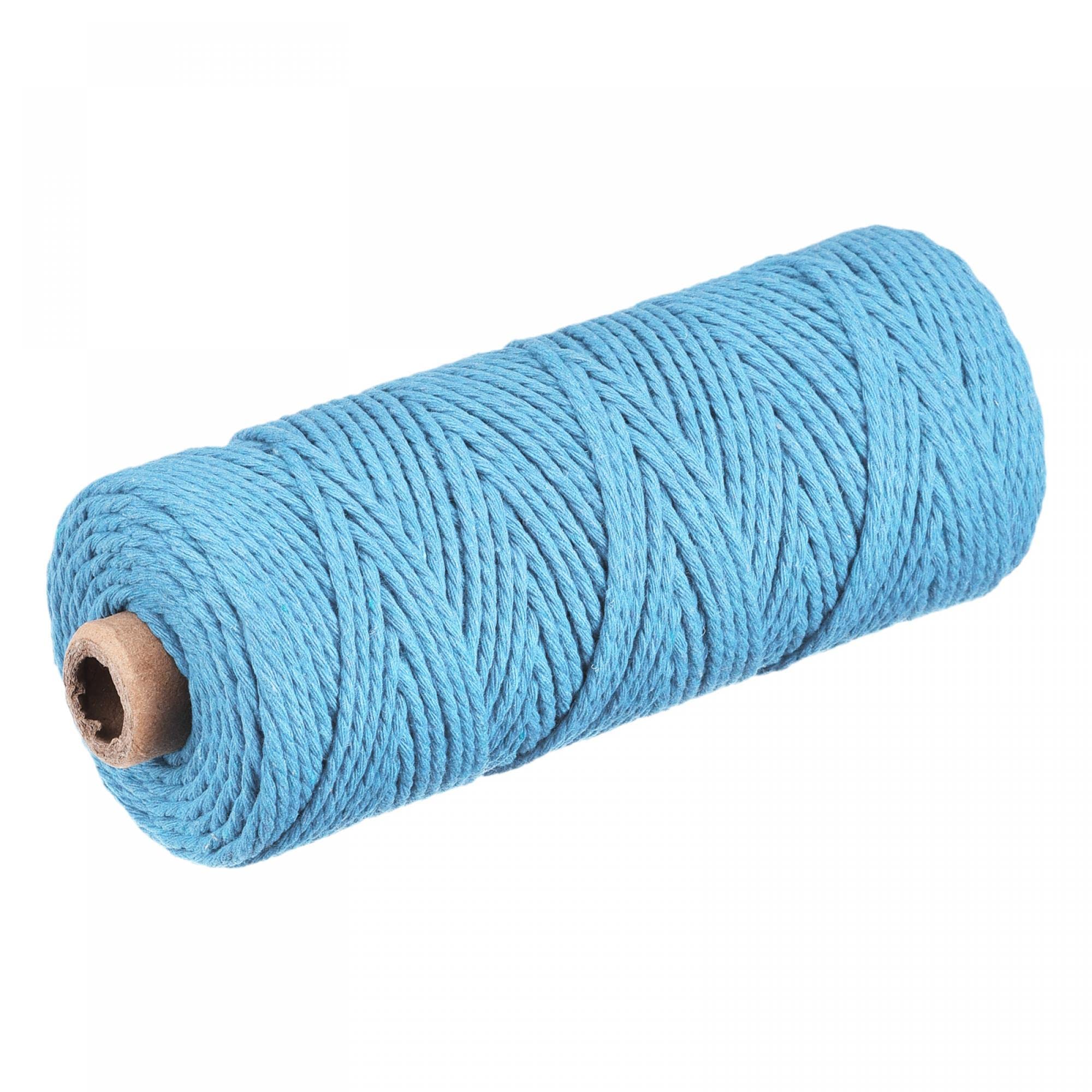 sourcing map Cotton Rope Twisted Braided Rope Cord, Sky Blue 100m/109 Yard 2mm Dia for Wall Hanging, Plant Hanger, Knitting, Macrame Knotting