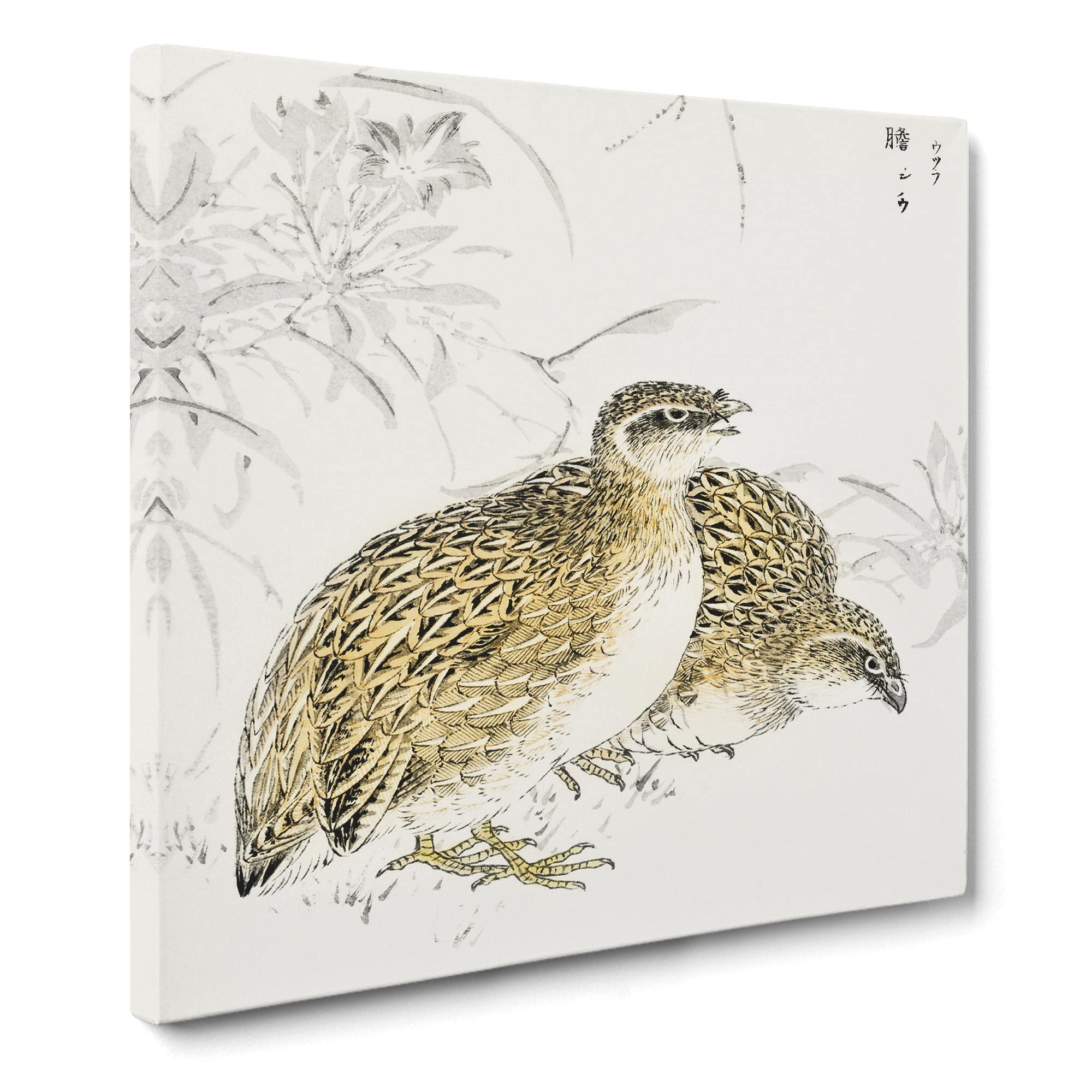 Japanese Quail Birds by Numata Kashu Canvas Print, Mixed, 35L x 35W cm