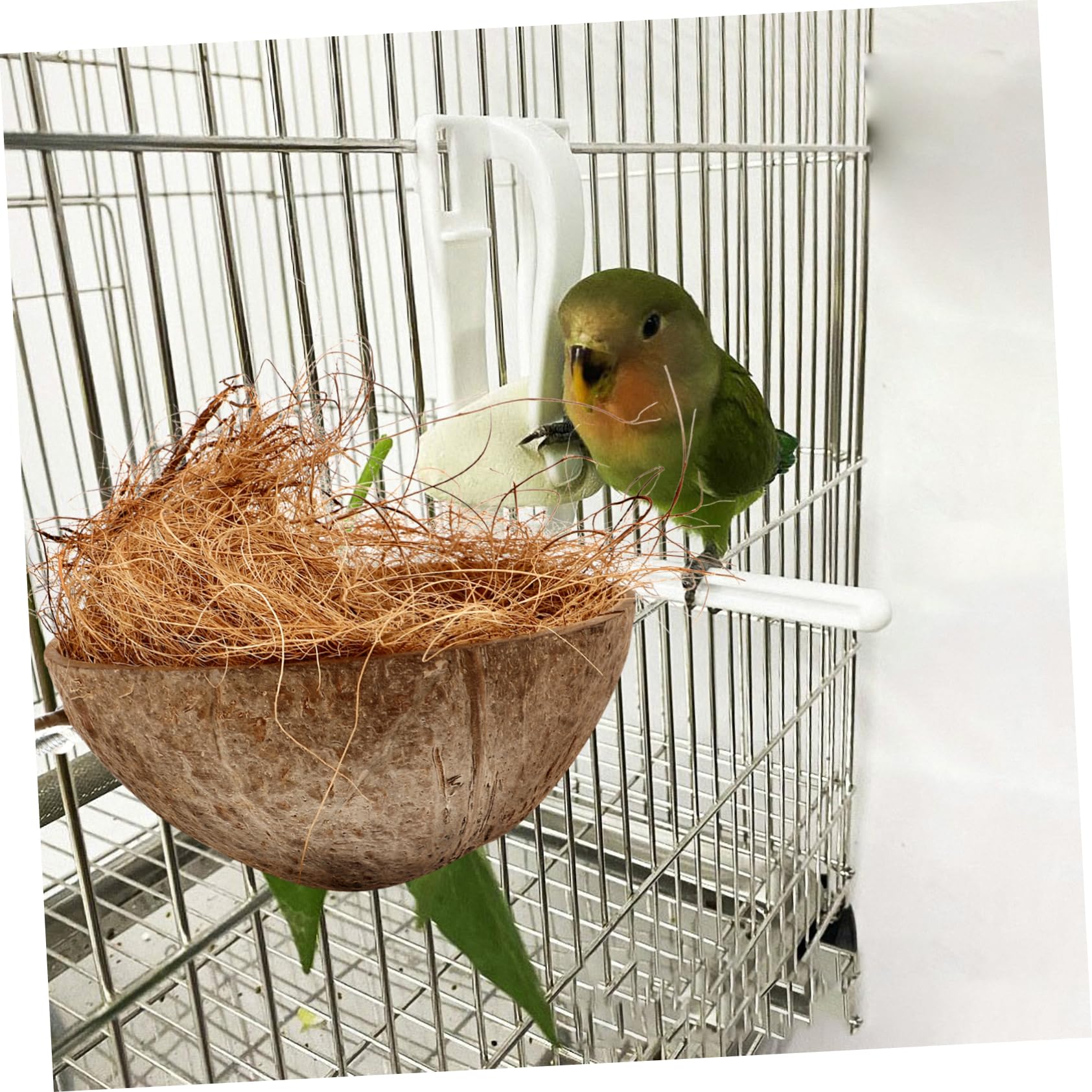 ibasenice 5 Pezzi Pappagalli Cocco Naturale Casa per Uccelli Resistente e Decorativa per Allevamento per Cocorite e Parrocchetti per Allenare Abilità Nidificazione e Creare Un Stimolante per