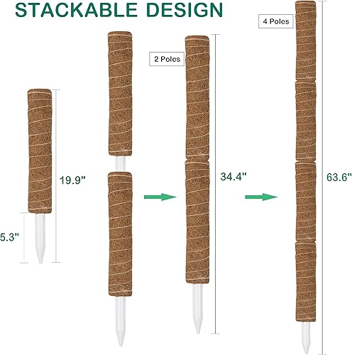 Miniatura 2 de Poste de musgo de 63 pulgadas para plantas Monstera, paquete de 4 postes de musgo de 19.9 pulgadas para plantas trepadoras, estacas para plantas de