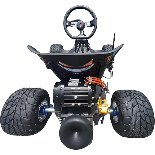 Electric Off-Road Go Kart, 72V 20Ah Lithium, 2000W Brushless Motor, 3-Speed & Reverse, Remote Start, RGB Lights, Chain Drive, Off-Road Outdoor Recreation (72V 2000W)