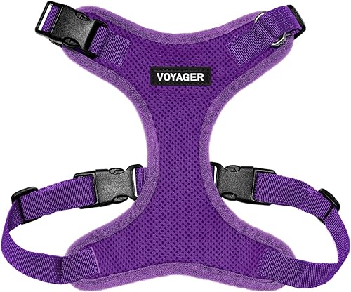 Best Pet Supplies Voyager - Arnés para mascotas seguro y estilo de meter desde las patas, de malla para todo tipo de clima, ajustable para gatos y