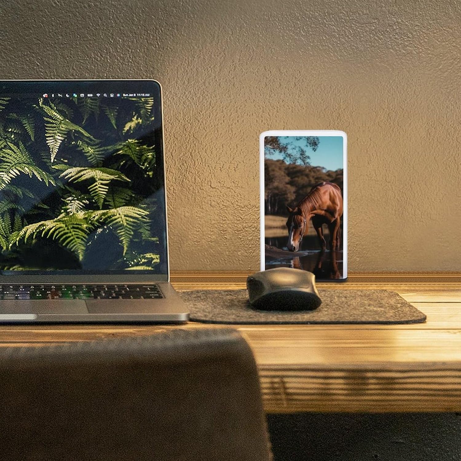 Desk Lamp for Office Home Dimmable Small Desk Lamp The Horse is Drinking Water Battery Operated Lamp for Reading Study Work