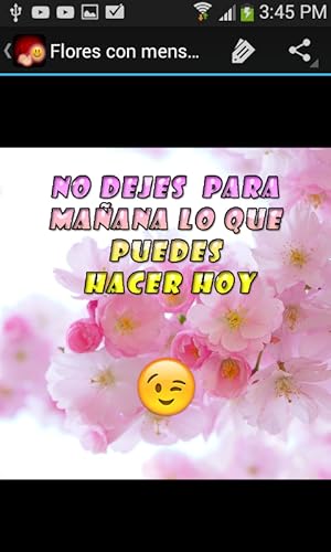 Flores con saludos y mensajes