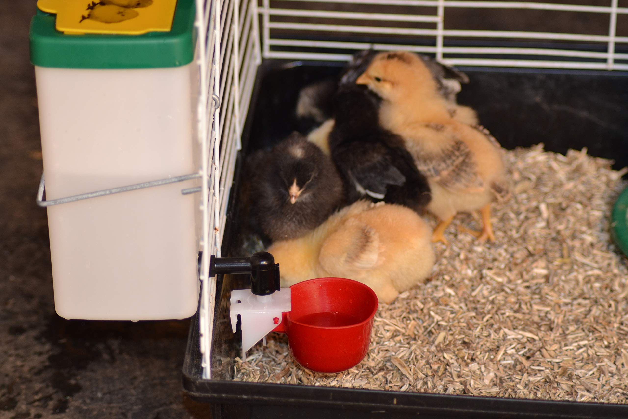 AsukasRoom特別価格RentACoop Premium Hemp Pets, x L) Horses,並行輸入 Coop