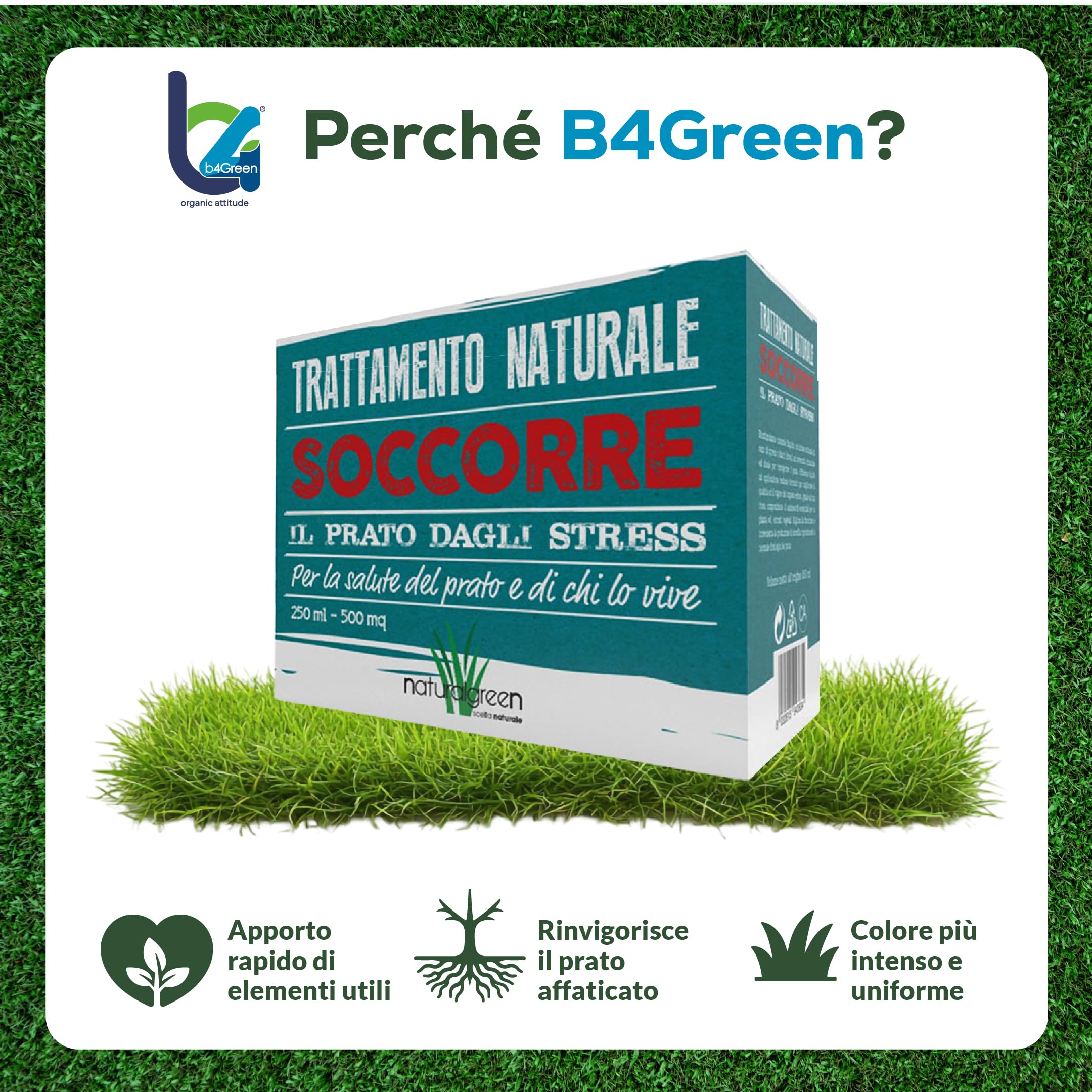 B4Green Soccorre (500m²) – Rinverdente Prato Estate, Biostimolante per Piante Naturale Liquido contro Ingiallimento e Stress da Caldo per Prato Verde e Resistente 250ml