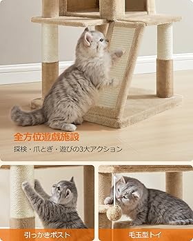 Amazon | FEANDREA キャットタワー 猫タワー大型猫 ハンモック耐