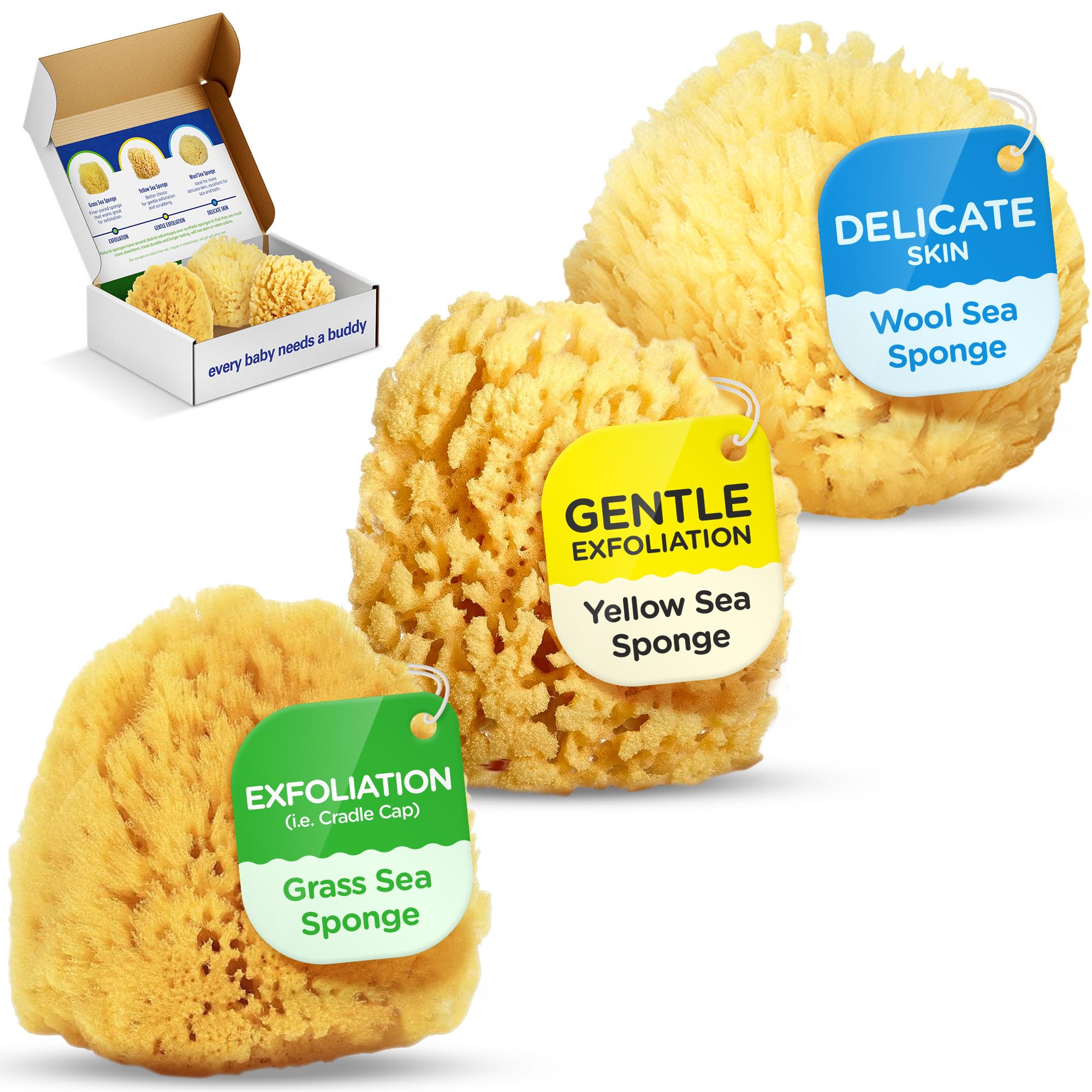 Baby Buddy Baby Bath 4in Assorted Sea Sponges, Absorbent Natural Sea Sponge, Soft on Tender Skin, Biodegradable, Hypoallergenic, Bath Accessories for