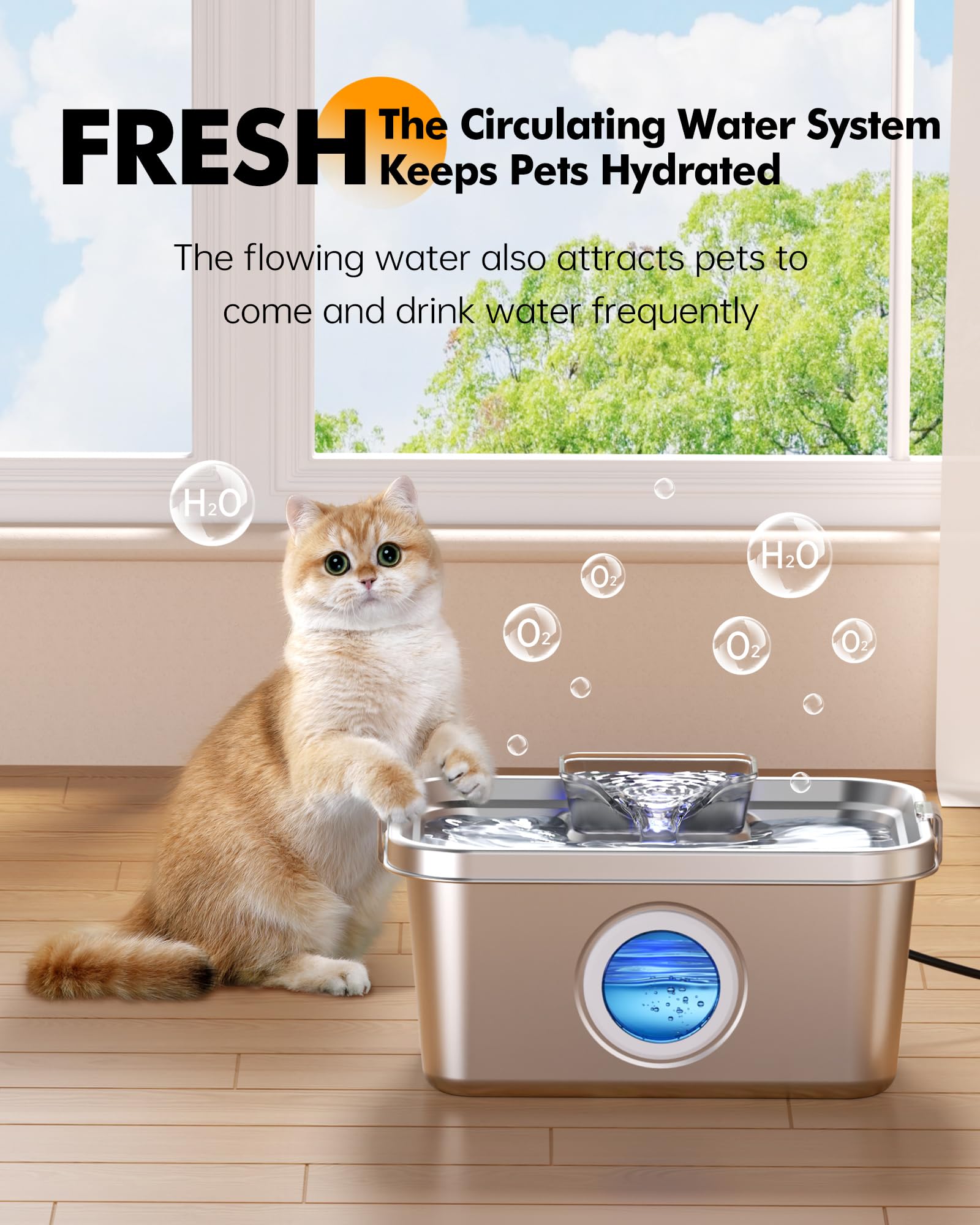 PETIMI - Fuente de agua para perros