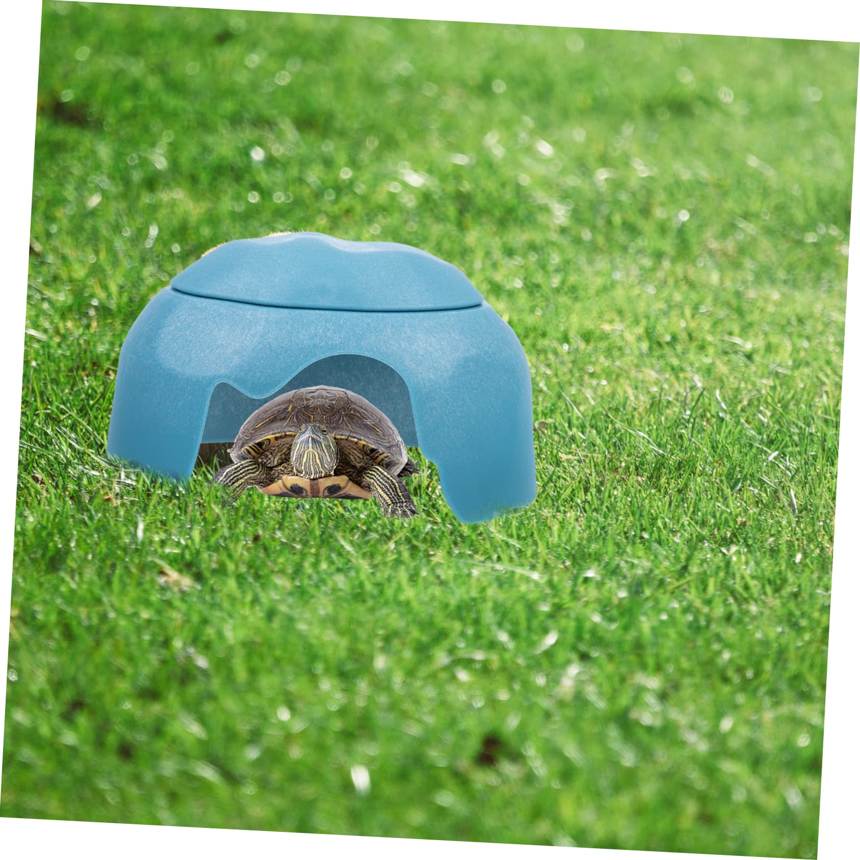 Cueva Escondite para Reptiles y Tortugas con Comederos Azul