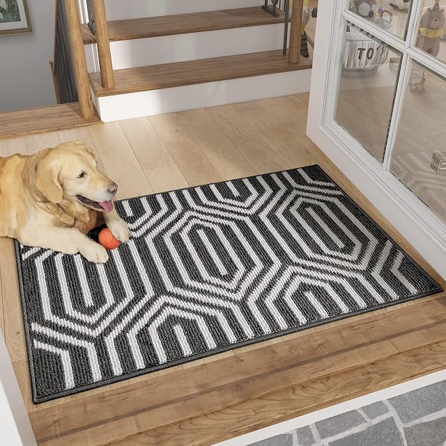 Color G Door Mats Indoor Washable 50 x 80 cm, Non Slip Inside Door Mat, Absorbent, Dirt Trapper Pattern Indoor Door Mat For Entryway, Garden, Patio (Black)