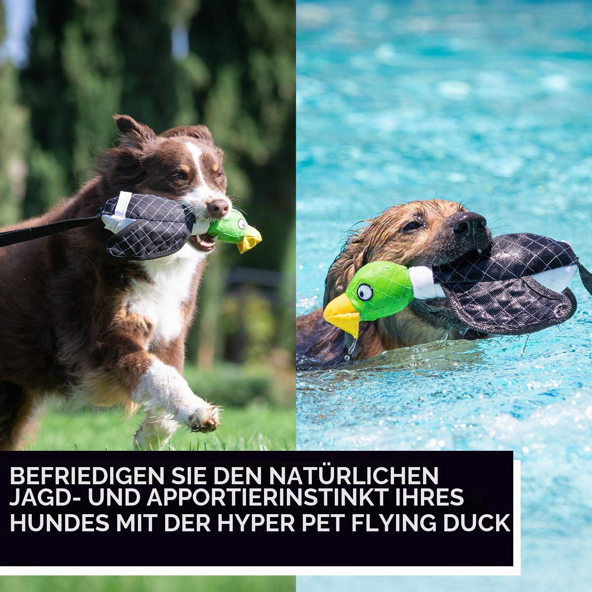 Hyper Pet 0023 Flying Duck, grün