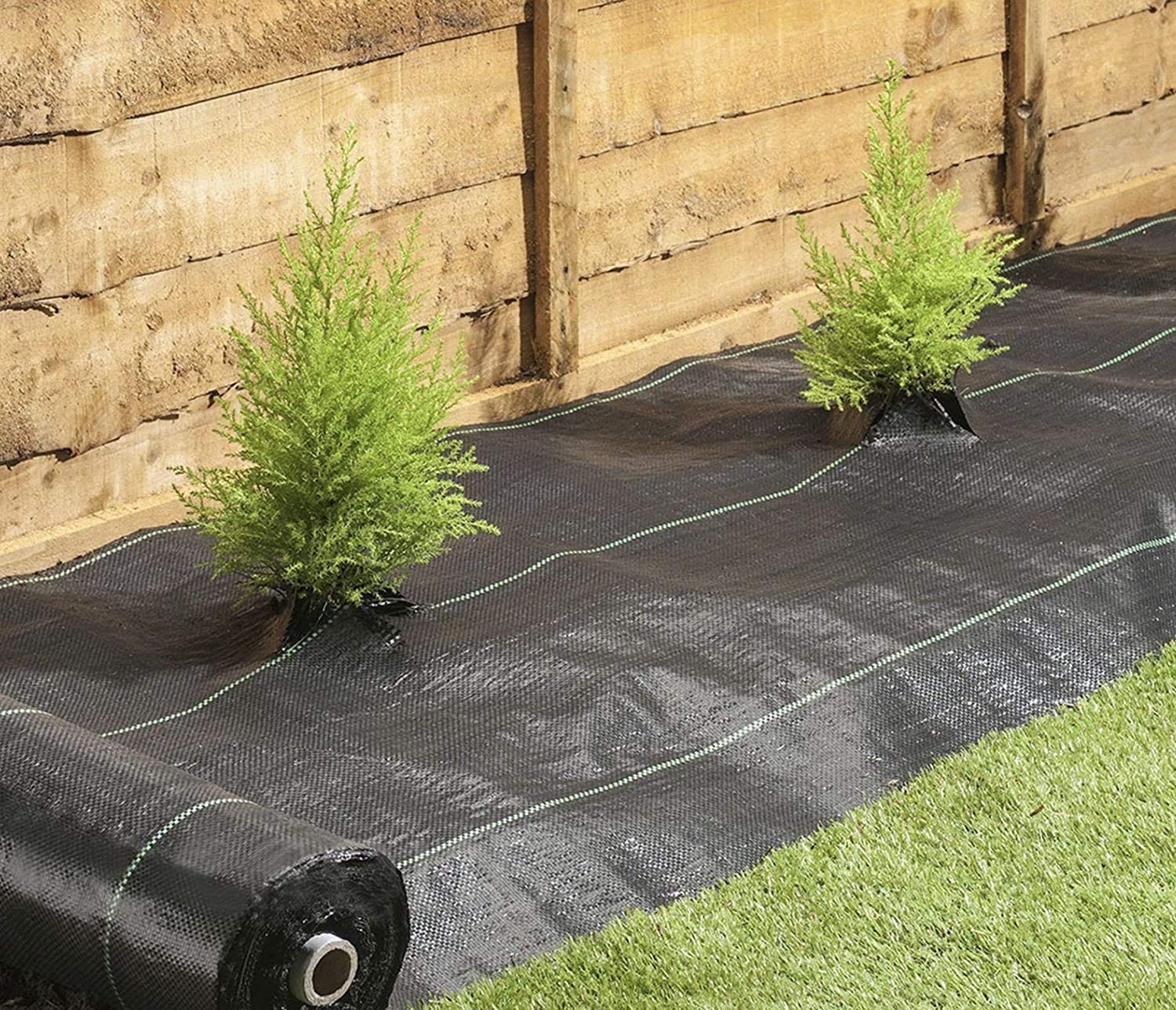 Pinto FERRAMENTA Telo Pacciamatura 100 g/m² Professionale Anti Erbacce Tessuto Resistente Riutilizzabile Drenante Verde o Nero per Orto Giardino Aiuole e Uso Agricolo Anti UV (1.5x50mt, Nero)