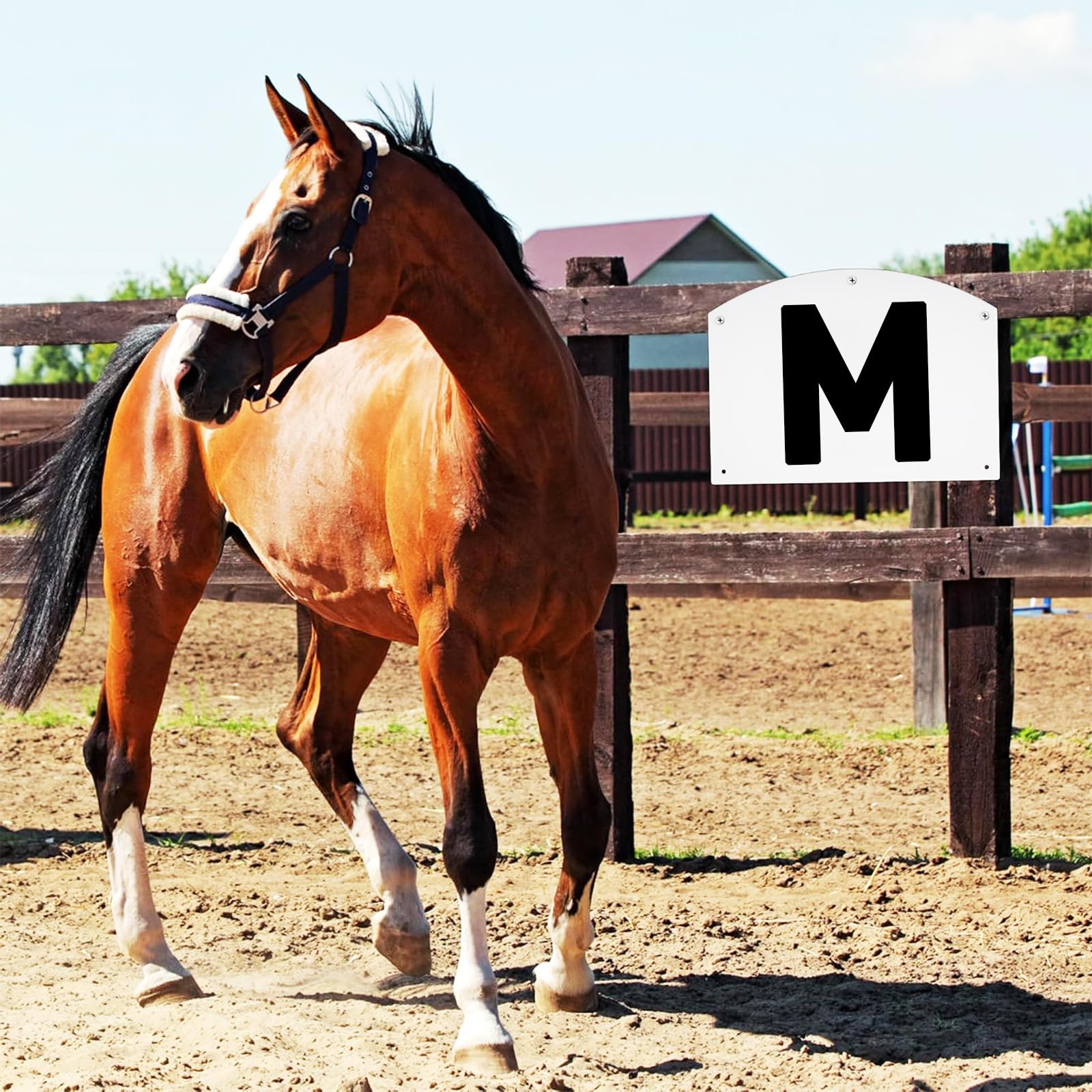 8 pezzi da parete per dressage arena, lettere da dressage per atleti equestri ed eventi, include lettere A, B, C, E, F, H, K, M