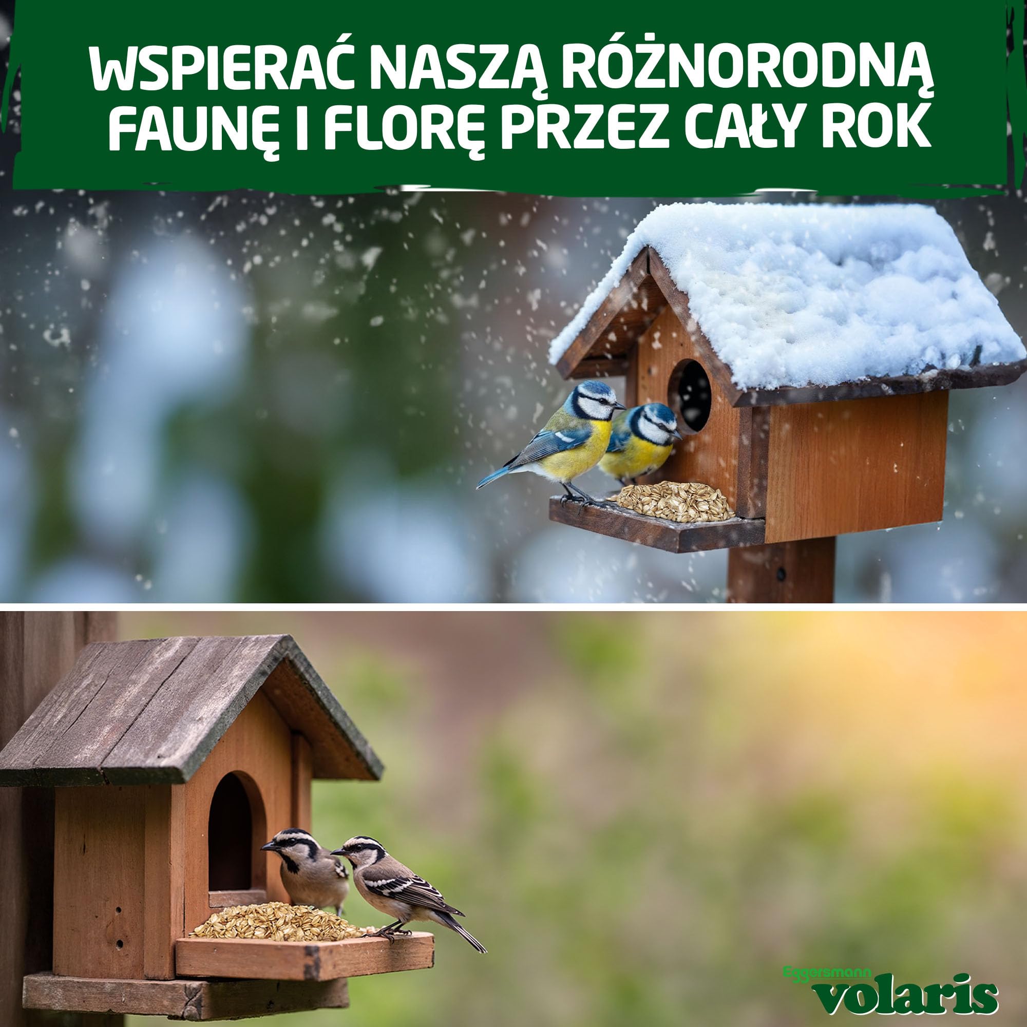 Eggersmann volaris Płatki owsiane 2,5 kg – karma dla dzikich ptaków – płatki owsiane idealne również jako karma dla zwierząt dla jeży, królików i gryzoni – karma dla dzikich ptaków nadaje się do