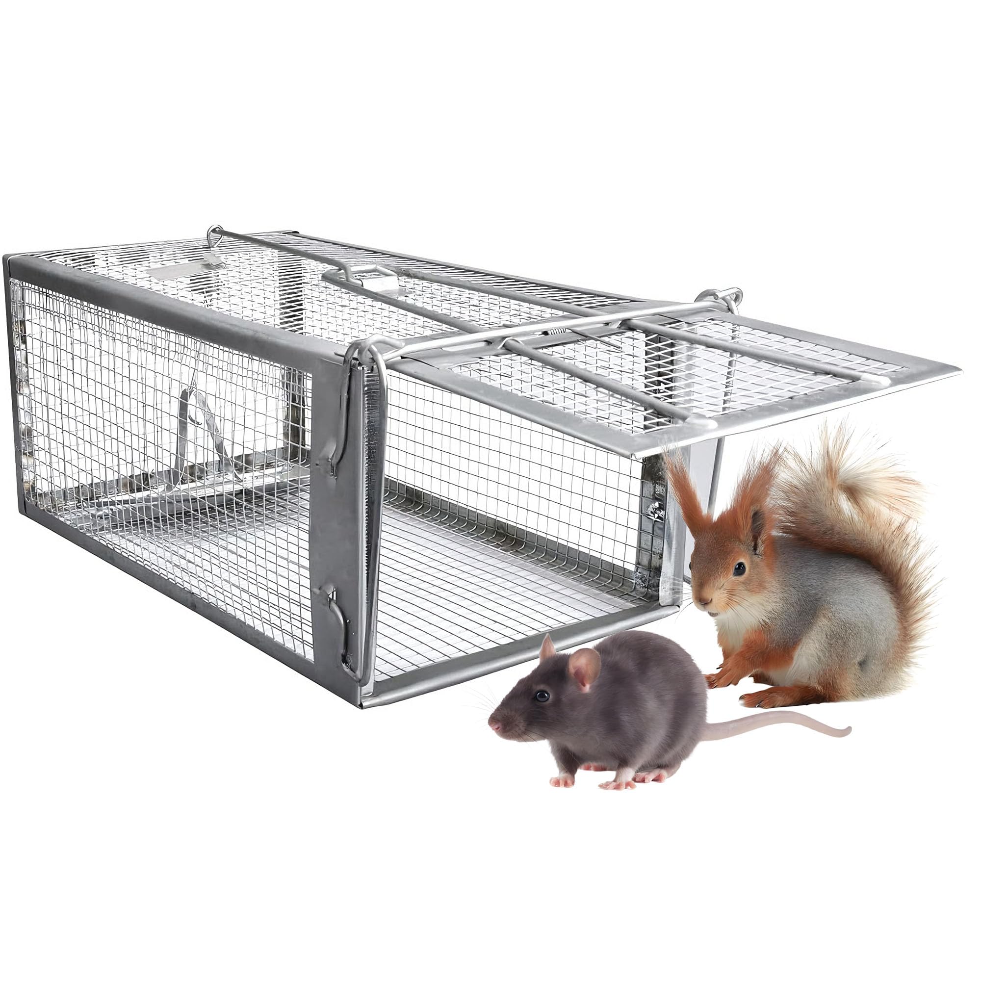 Mausefalle Lebend, Rattenfalle Lebendfalle XXL Tierfalle Wiederverwendbare Mäuse Falle Lebend Käfig für Innen & Aussen, 100% Effektiv & Verletzungsfrei - 31 cm x 17 cm x 13,5 cm