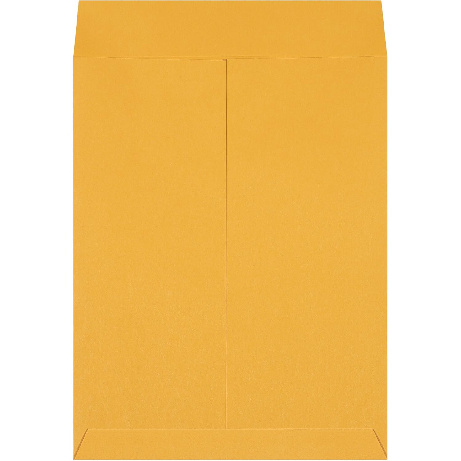 Poly Bag Guy Jumbo Envelopes, 14" x 18", Kraft, 100/Case