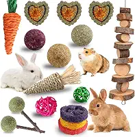 Grddaef 18 peças de brinquedos de coelho, brinquedo de porquinho-da-índia, maçã, grama, madeira natural, palitos de timothy, mastigar e tratar para porquinhos-da-índia hamster chinchilas