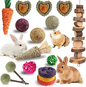 Grddaef 18 peças de brinquedos de coelho, brinquedo de porquinho-da-índia, maçã, grama, madeira natural, palitos de timothy, mastigar e tratar para porquinhos-da-índia hamster chinchilas