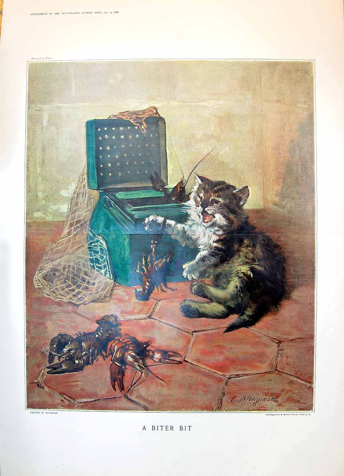 Boîte de pêche de homard illustration ancienne Monginot, le cadeau idéal pour amoureux de chats