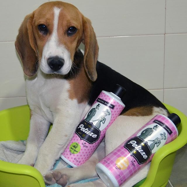 Foto 7 de 7 de PETUXE Champú para Cachorros de Perros y Gatos - 200 ml