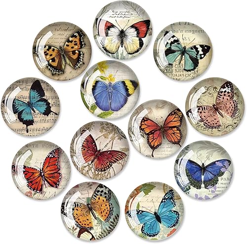 12 calcomanías magnéticas fuertes de vidrio para nevera, imanes de cristal para nevera, imanes fuertes para nevera, cocina, gabinete, lavavajillas,