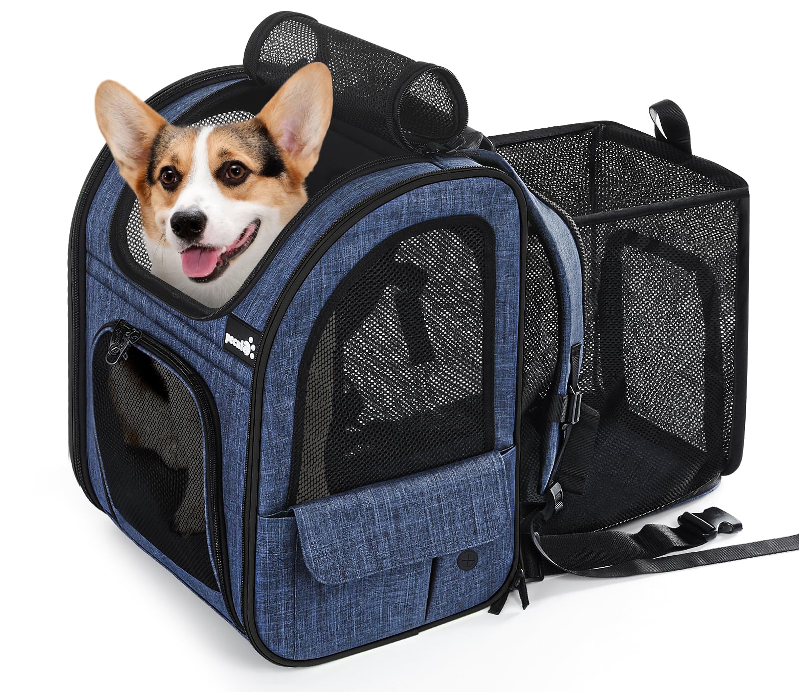 Pecute Pet Carrier Backpack, Large Cat Carrier Backpack, Expandable Cat Backpack with Breathable Mesh for Medium Large Cats, and Small Dogs, Dog Backpack Carrier for Travel Hiking Blue