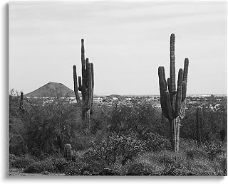 Stupell Industries Desert Cactus Arid Vegetation Monochrome Nature Photography, Design by Graffitee Studios