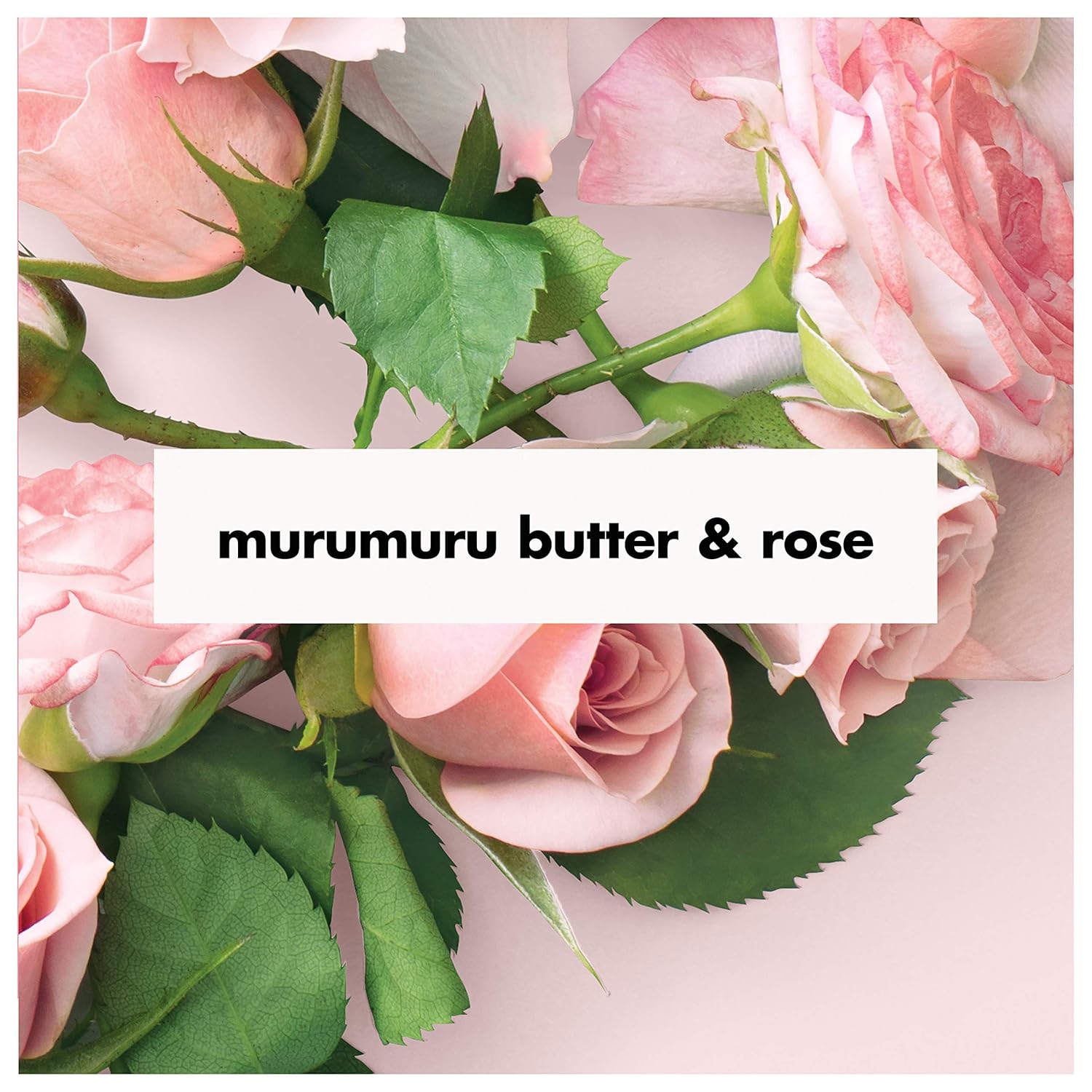 Love Beauty And Planet Deodorant, Murumuru Butter and Rose, 2.95 Oz : Beauty & Personal Care