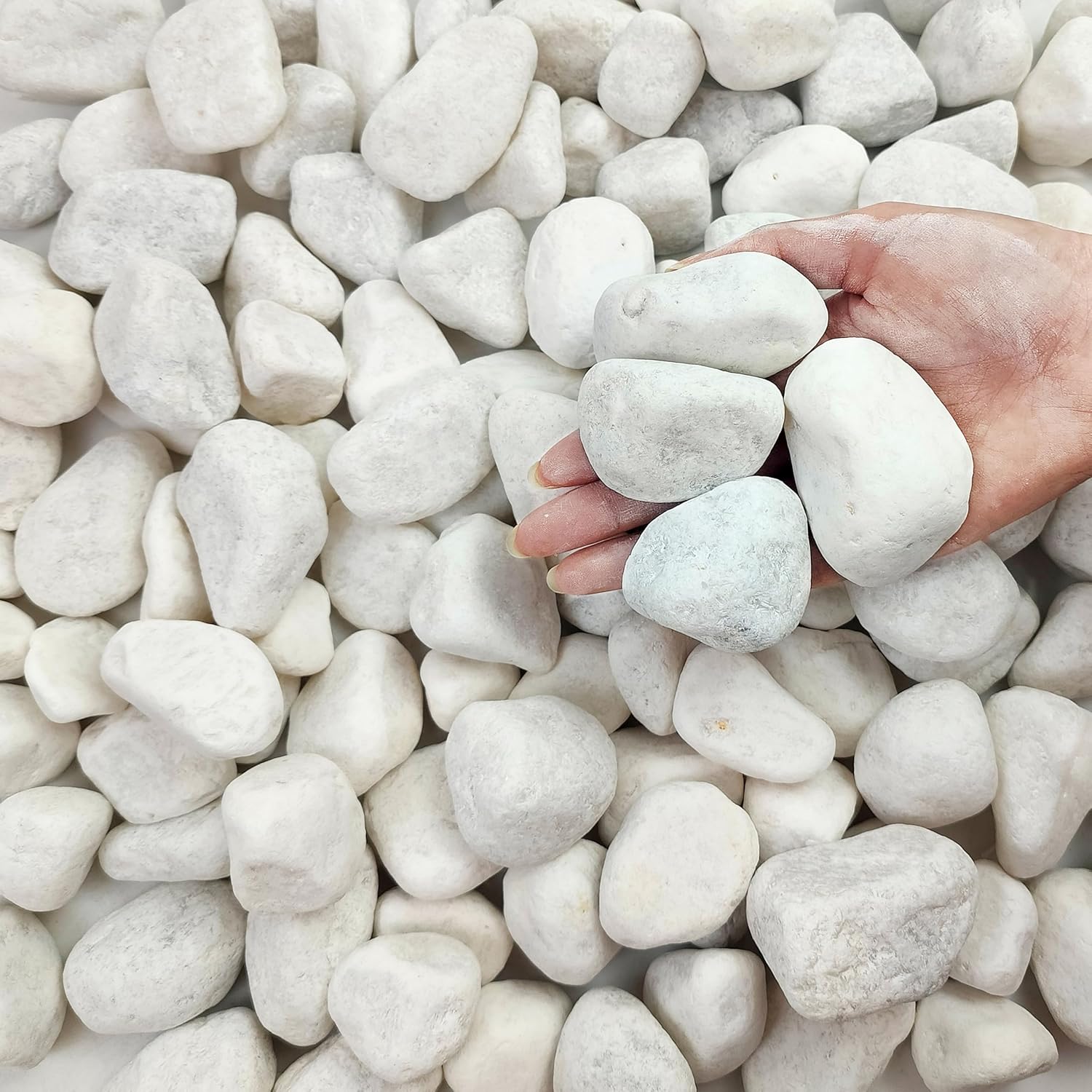 FANTIAN 5 lbs White Matte Pebbles 2-3 Inch Large River Rocks for Indoor Plants, Succulents, Landscaping, Vases & Gardens