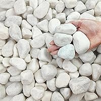 FANTIAN 5 lbs White Matte Pebbles 2-3 Inch Large River Rocks for Indoor Plants, Succulents, Landscaping, Vases & Gardens
