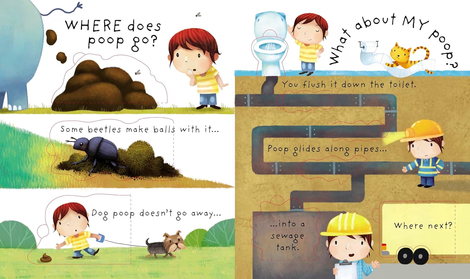 Very First Questions and Answers What is poop?: An Award-Winning Lift-the-Flap Book for Children (Ages 2-5)