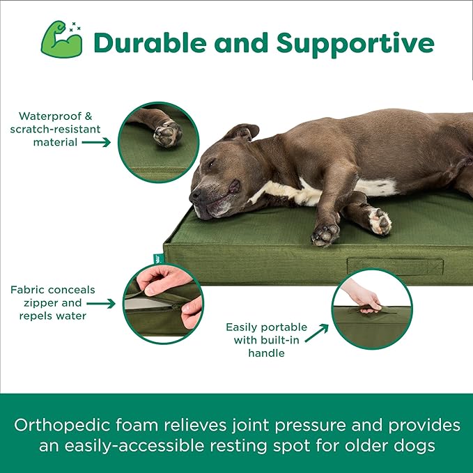 Colchoneta Ortopédica para Perro Resistente al Agua Tamaño Mediano miniatura 4