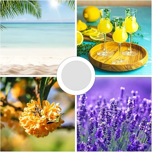 Miniatura 6 de Sadnyy 100 unidades de repuesto para mopa de vapor, almohadillas perfumadas con fragancia, 10 discos de fragancia diferentes compatibles con Bissell