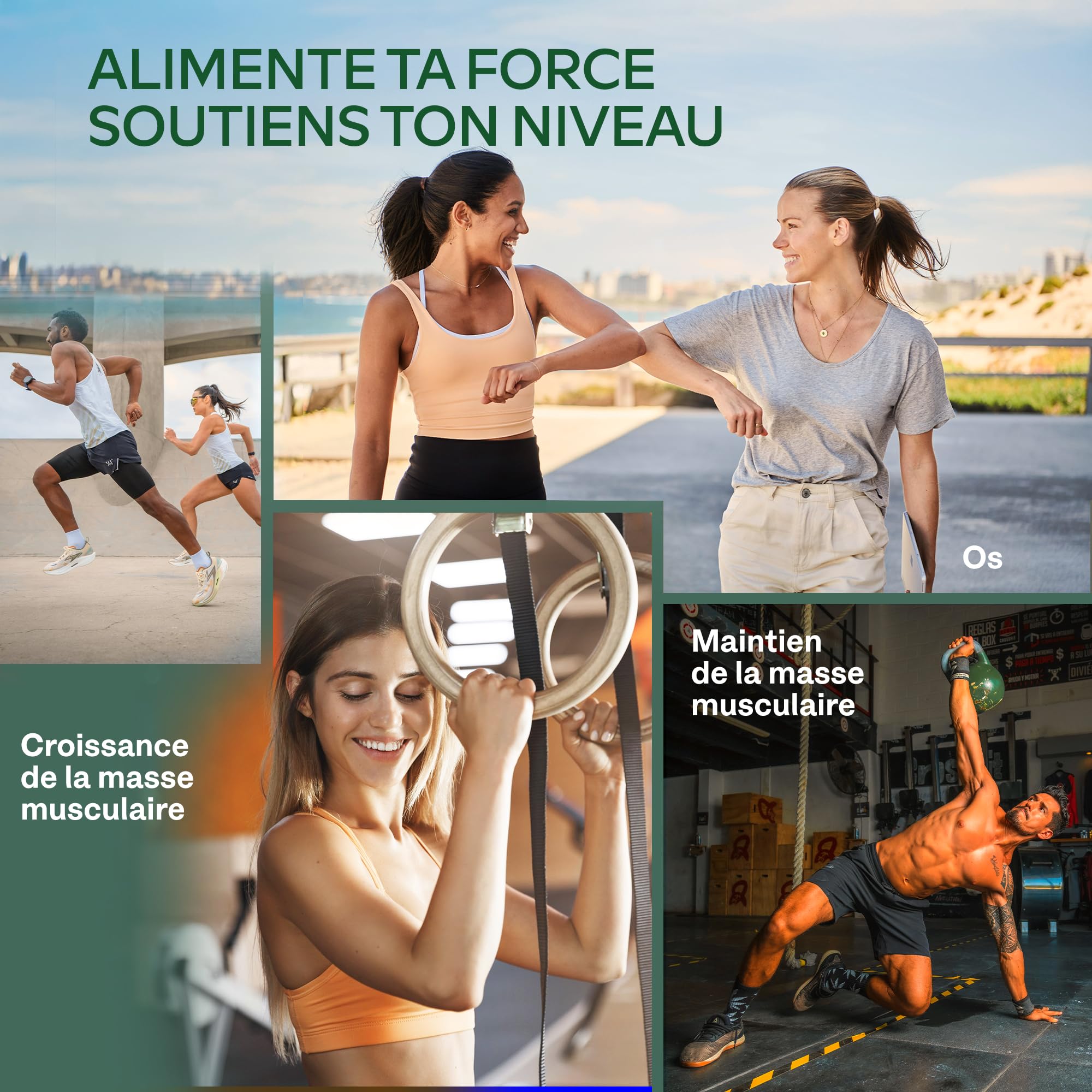 Proteine Vegetale en Poudre 750g DIGEZYME® | Proteine Vegan de Pois (Pea), Ris, Fèves, Tournesol - Protéines Sans Sucre, Sans Lactose - 9 acides aminés essentiels EEA et BCAA - Vegan Protein Powder