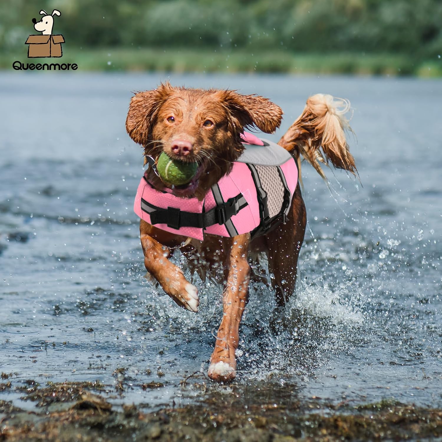 Queenmore Small Dog Life Jacket Swimming Vest Medium Dogs Boating Life Preserver Neoprene Lightweight Reflective Cat Puppy Kayaking Lifesaver for French Bulldog,Dachshund,Shih Tzu,Pug(Pink,M)