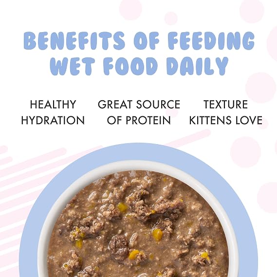 Weruva Kitten, Chicken & Pumpkin Formula in Gravy, 3oz Can (Pack of 12)