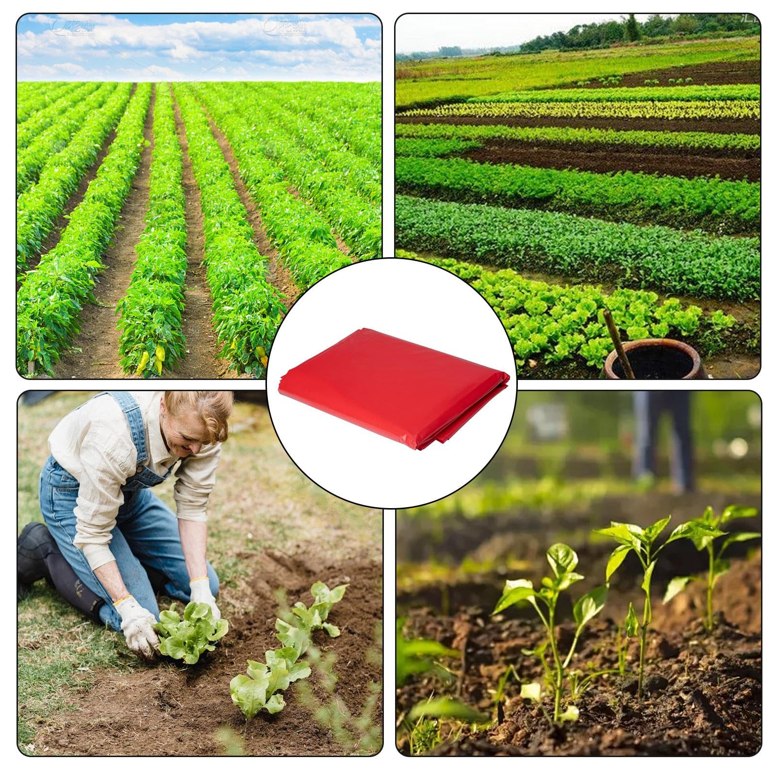 Pacciame per giardino, pacciame per orto - Piantare pellicola di pacciamatura rossa - Pacciame artificiale antierba, pellicola per pacciamatura, pellicola per coltivazione di colture agricole per la s