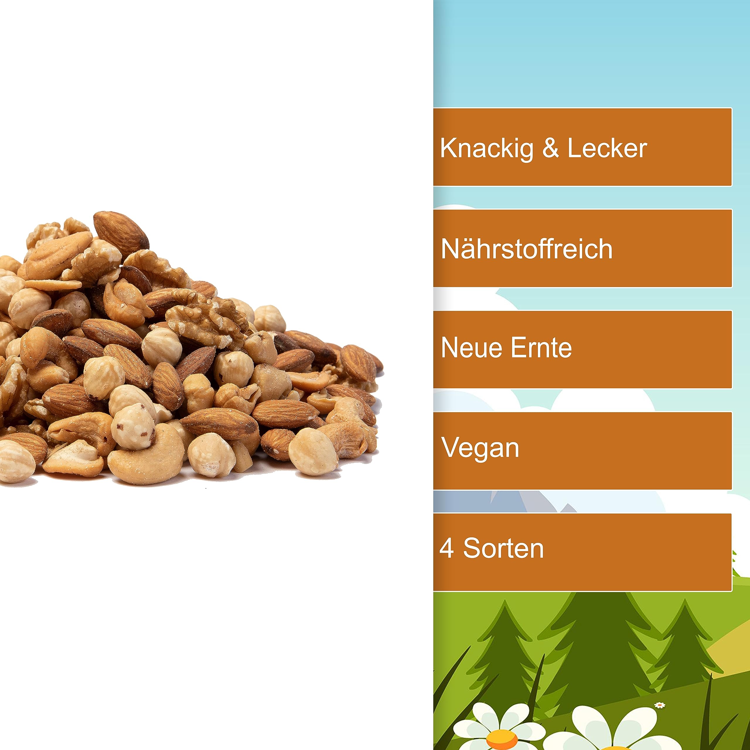 Nussmischung Big 4 Mix 1kg-3kg - Nuss Mix aus 4 Nusssorten - Cashew geröstet & gesalzen - Mandeln mit Haut - Walnusskerne ohne Schale - Haselnusskerne geröstet & ohne Haut - (3kg Behälter)