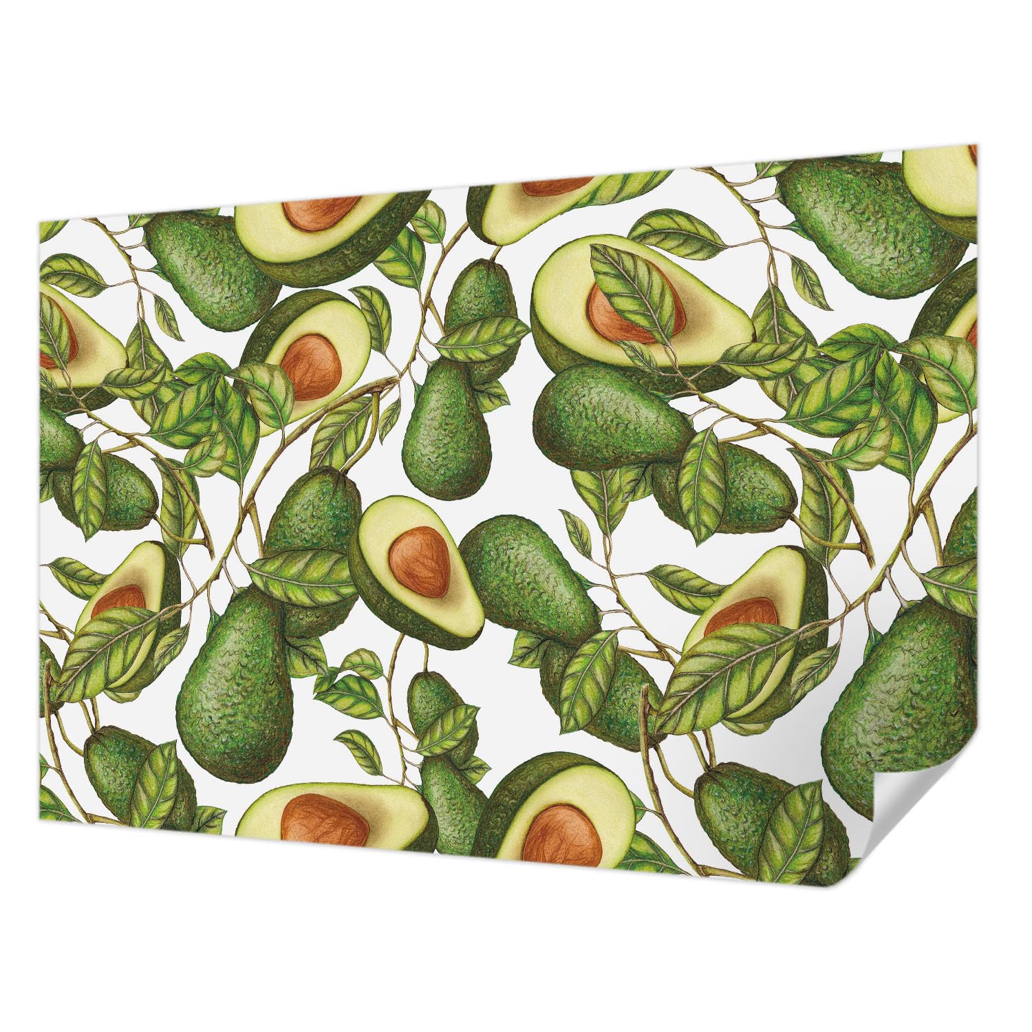 Papier peint haute qualité motif avocat moderne 152x104 cm revêtement auto-adhésif